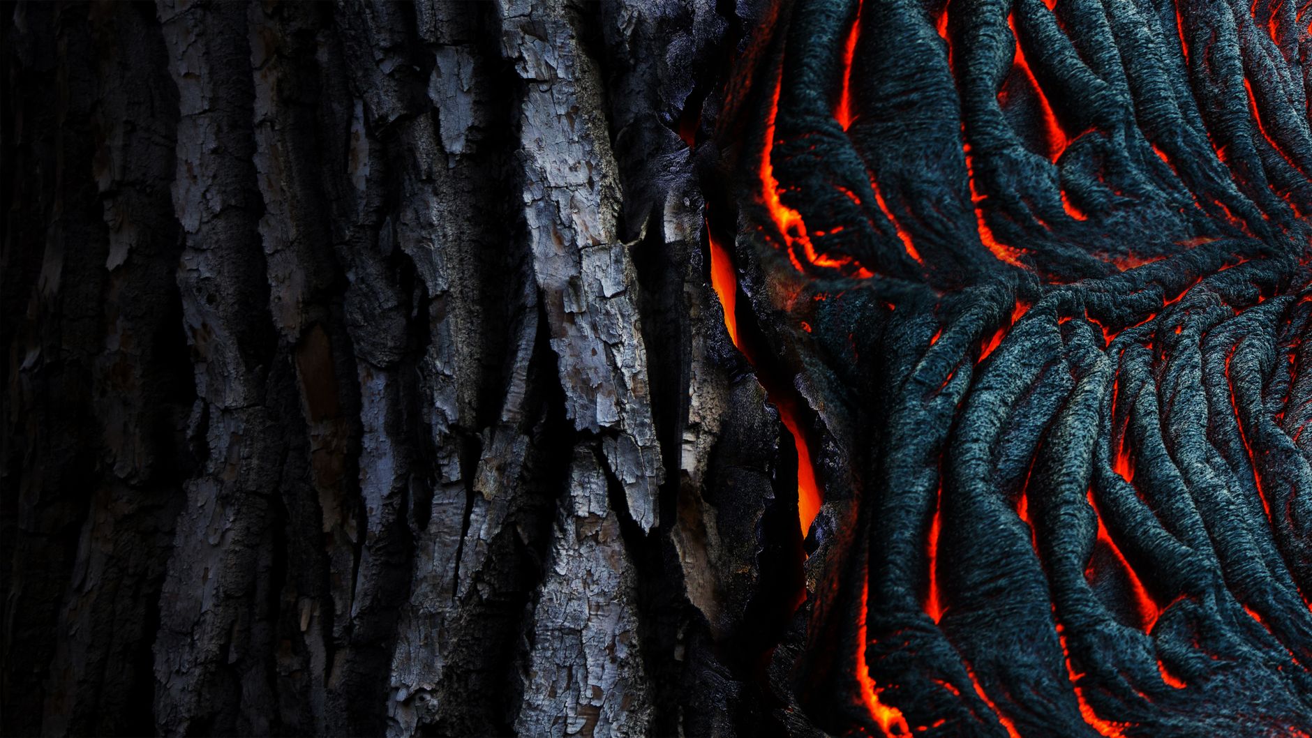 principles of TCM – five elements wood, fire, earth, metal, water cycle